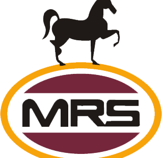 MRS-approved-logo-png-1